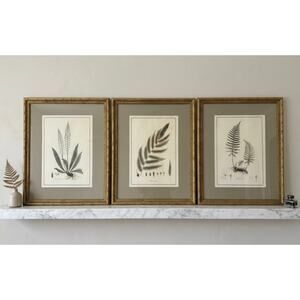 Set of 3 Large Botanical Fern Prints Gold Beaded Framed Wall Art Sage Mat 24x30